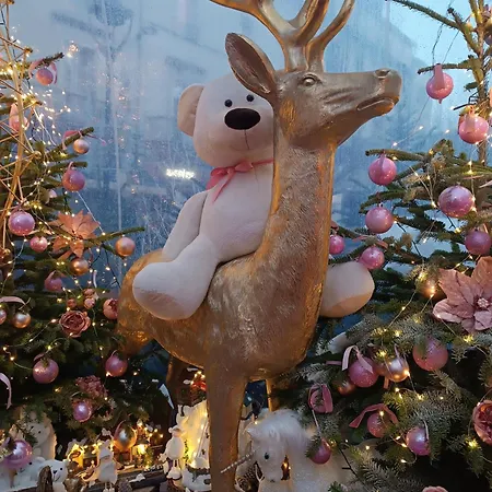 La Taverne Des Sorciers De Périgueux