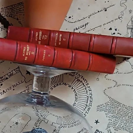 דירה La Taverne Des Sorciers De *